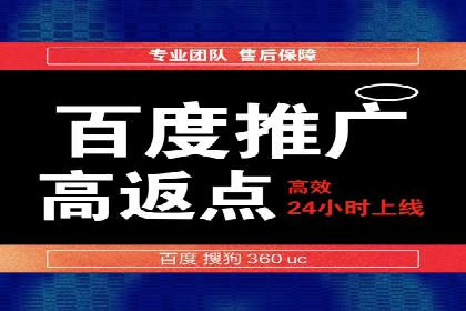 百度竞价投放技巧：行业领先企业的成功策略案例